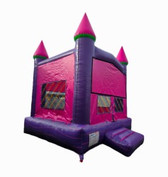 3329099401167109436 1767306214 PINK AND PURPLE BOUNCER